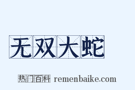无双大蛇２是什么意思的图片